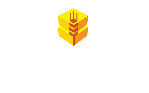 Cicoria Balers Italy